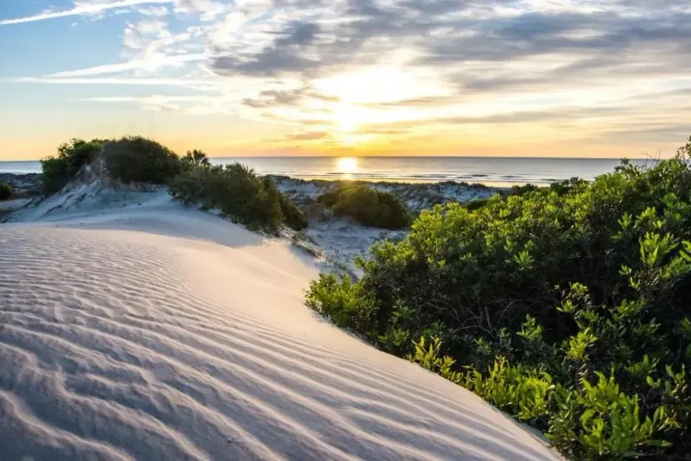 Cumberland Island, Georgia